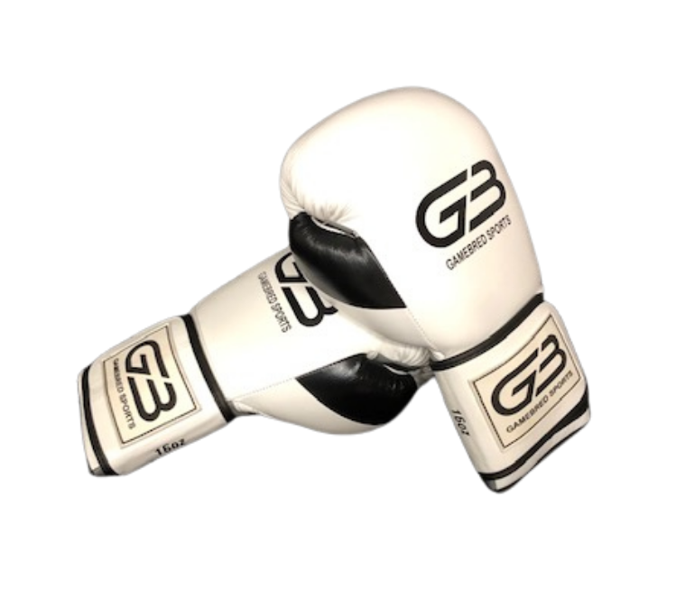 E2-sparring-gloves-e1647064992720