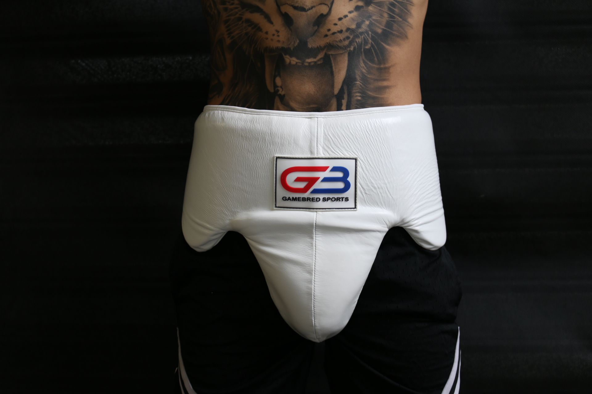 Groinguard