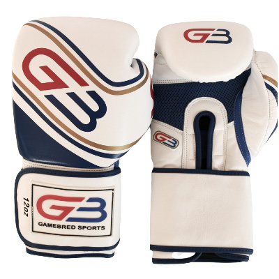 blue-sparring-gloves